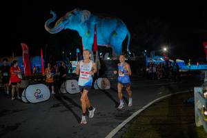 BIB: 
                            <button type="button" onclick="openModal(26551808)" class="btn btn-primary btn-sm float-right btn-popup" data-toggle="modal" data-target=".modal-high-quality">
                        <i class="fas fa-shopping-cart"></i> Add to Cart
                    </button>
                                            <button type="button" onclick="isThisMe(26551808, true)" class="btn btn-success btn-sm float-right btn-popup btn-isme hidden" data-toggle="tooltip" data-placement="bottom" title="นี่คือรูปของคุณใช่ไหม คลิกที่นี่เพื่อเอาเข้าอัลบั้ม">
                        <i class="fas fa-plus"></i> Add to album
                    </button>
                    <button type="button" onclick="isThisMe(26551808, false)" class="btn btn-warning btn-sm float-right btn-popup btn-isnotme hidden">
                        <i class="fas fa-ban"></i> Remove from album
                    </button>